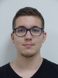 Louis Torchet